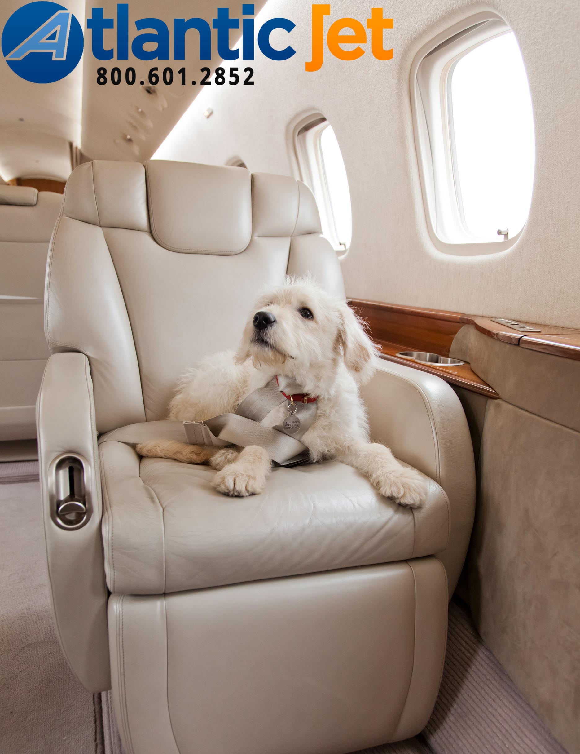 Private Chartering with Pets